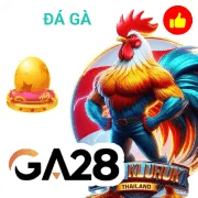 goal123 Game 08